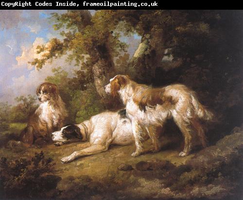 George Morland Dogs In Landscape - Setters Pointer
